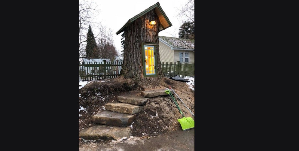 La bibliotecaria que transformó un álamo de 100 años en biblioteca | Curiosidades