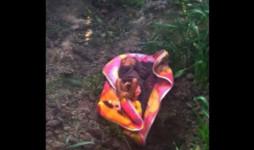 Enterraron viva a una beba en la India porque creían que estaba poseída por espíritus malignos | Internacionales