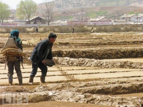 Corea del Norte exige a sus ciudadanos 100 kilos de excrementos al día | Internacionales