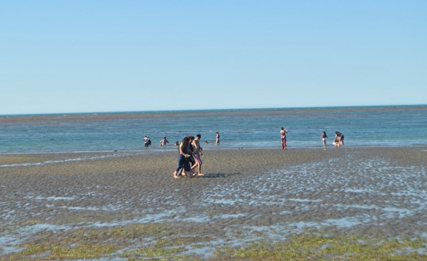 La insólita ola de calor que se vive en Tierra del Fuego | Actualidad