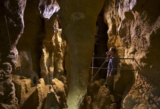 Creen que la endogamia fue una de las causas de la extinción de los neandertales | Internacionales