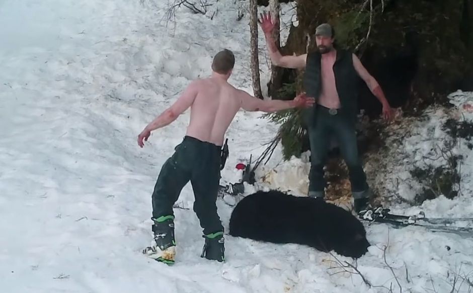 Padre e hijo matan a una osa y sus cachorros: festejan la matanza | Curiosidades