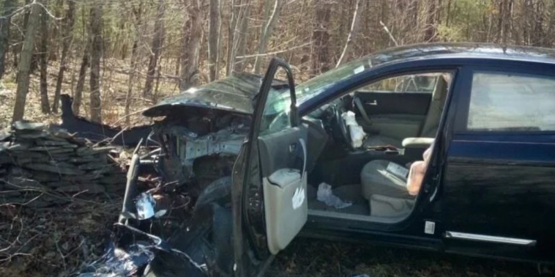 Una mujer entró en pánico por una araña y estrelló su auto contra un árbol | Curiosidades