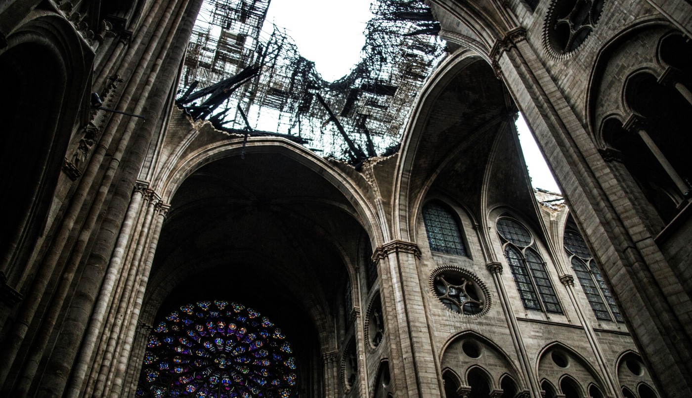 ¿Qué pasó con las 150.000 abejas que vivían en el techo de Notre Dame? | Internacionales