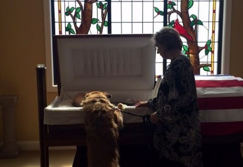 Viral conmovedor: el perro que despide a su dueño en el funeral | Curiosidades