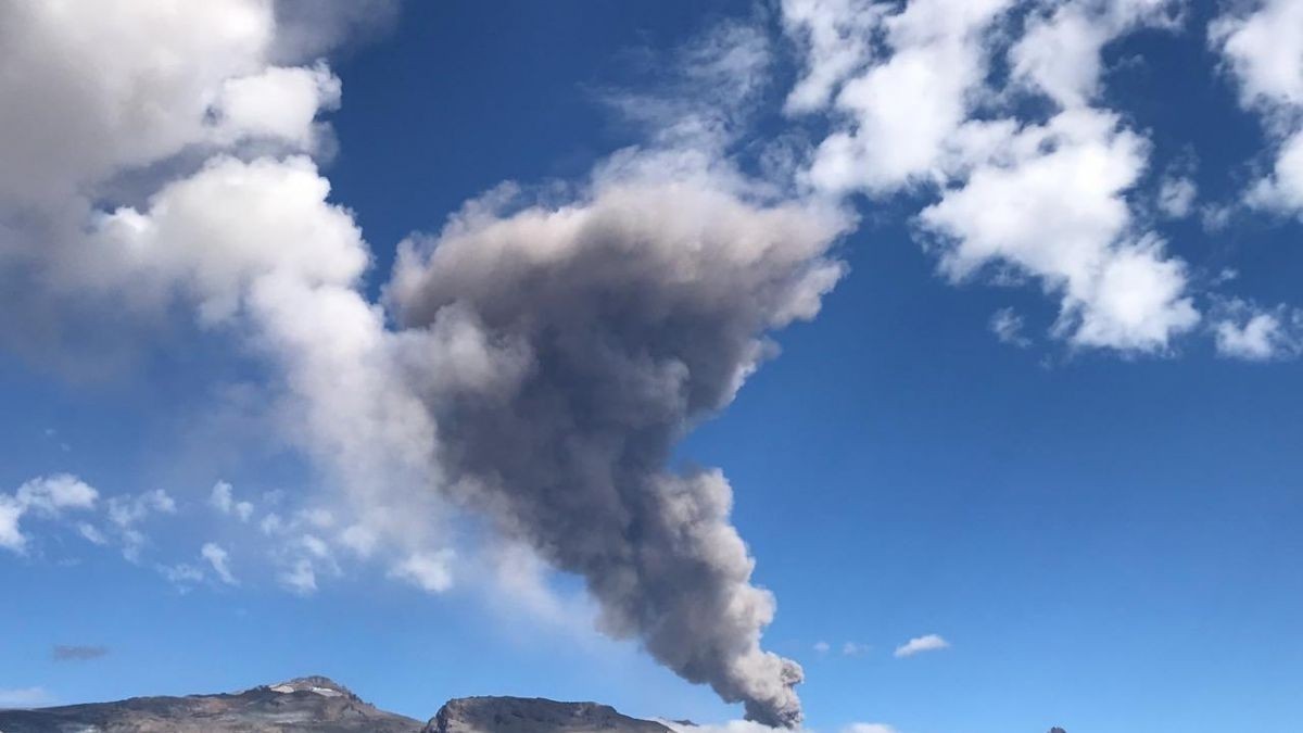 Alerta amarilla por un volcán chileno a metros de la frontera argentina | Actualidad
