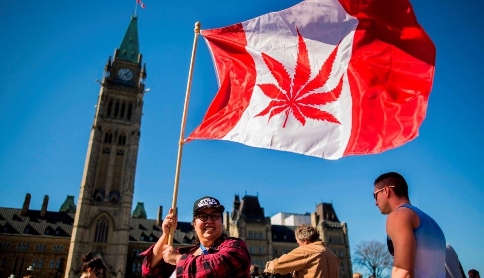 El número de consumidores de marihuana aumentó en Canadá desde la legalización | Internacionales