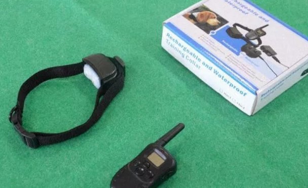 Le daba descargas eléctricas a sus hijos "porque no seguían las reglas" | Curiosidades