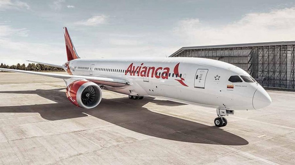 Crisis: Avianca deja de operar en Argentina al menos por seis meses | Economía