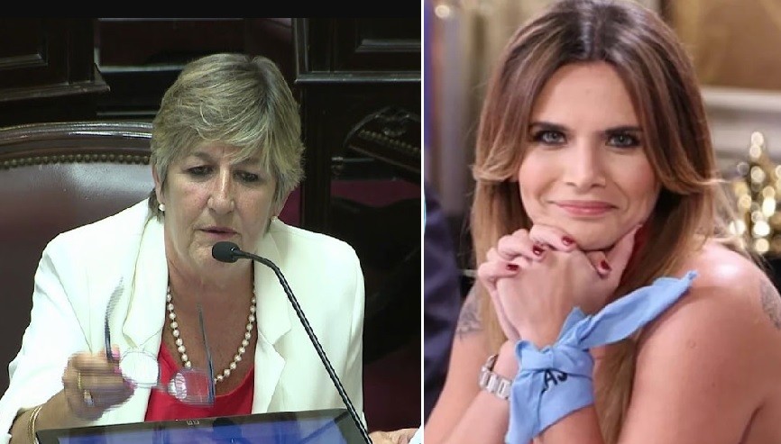 Amalia Granata diputada: preocupación por representación legislativa de "pañuelos celestes" | Política
