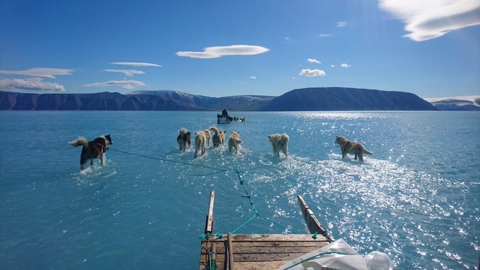 La foto que alerta sobre los peligros del cambio climático en Groenlandia | Internacionales