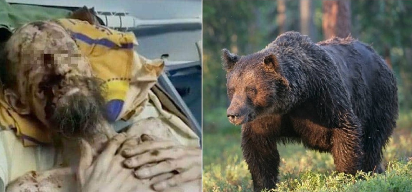 Hallaron una "momia" en una cueva: era un hombre vivo que fue atacado por un oso | Internacionales