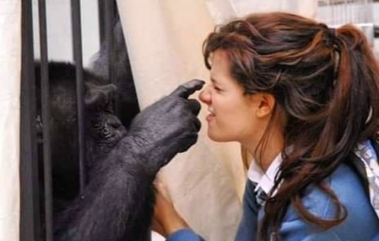 Violeta Urtizberea lució su pancita de seis meses de embarazada en la playa | Espectáculos