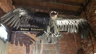 Hallan en San Pedro los restos de un cóndor de más de 10 mil años | Actualidad