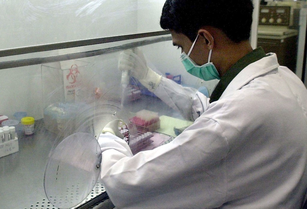 Enfermedad no identificada en Bolivia: creen que se trata de arenavirus | Internacionales