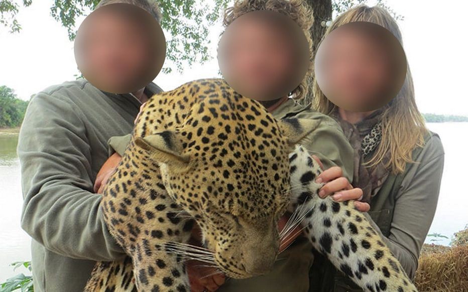 Fueron a cazar, mostraron en redes sus "trofeos" y los despidieron del trabajo | Redes