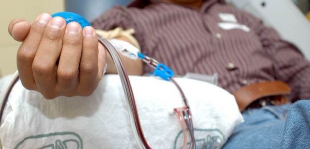 Se diagnostican ocho casos de leucemia por día en Argentina | Actualidad