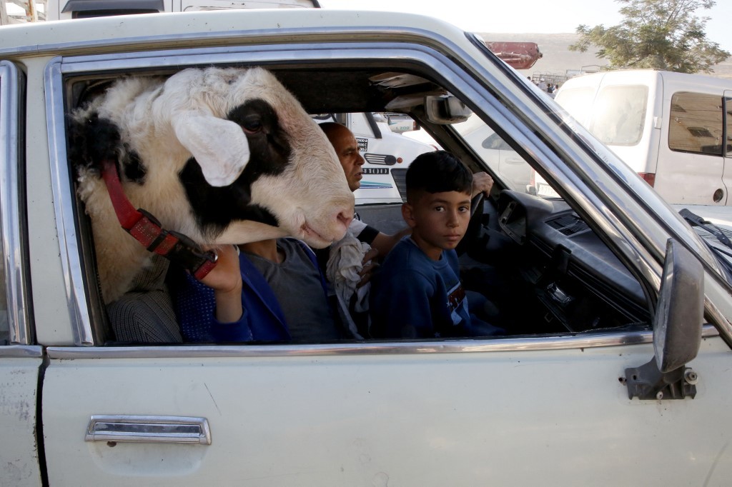 En auto al festival del sacrificio | Internacionales