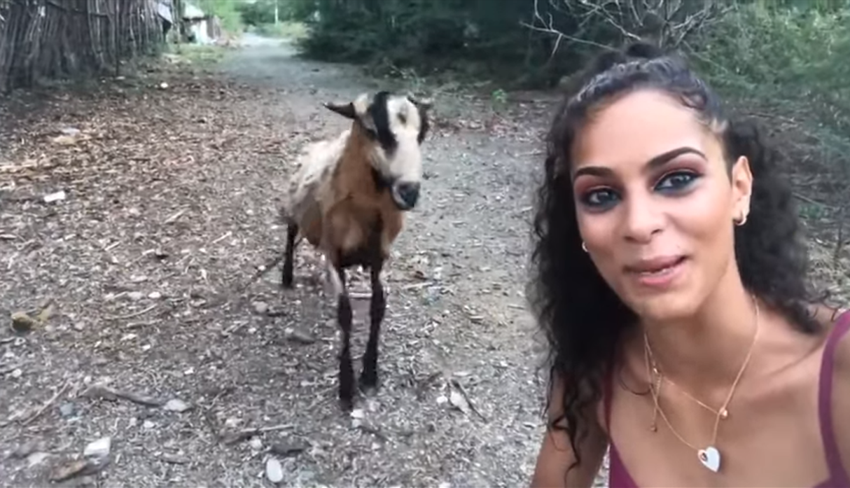 Video: la selfie de una chica con una cabra que termina mal | Curiosidades