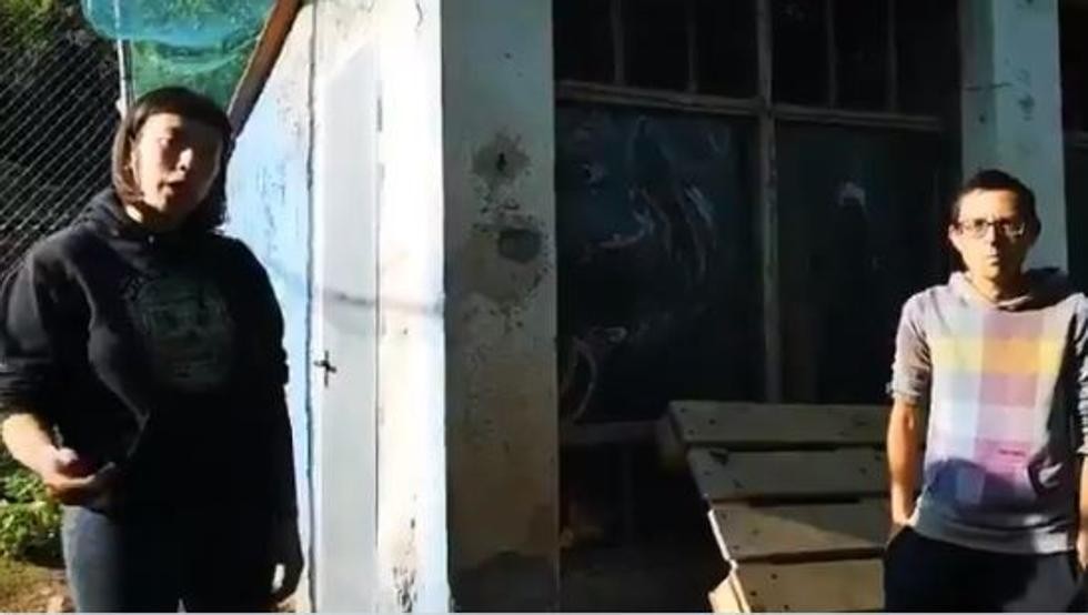 Video: el santuario vegano que separa a las gallinas de los gallos para "evitar violaciones" | Internacionales