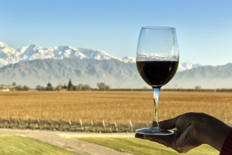 Gobierno de Mendoza comprará 100 millones de litros de vino tinto para elevar su precio | Economía