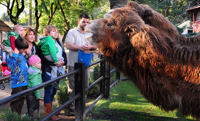 Estas son las fechas de las vacaciones de invierno en la ciudad y el país | Actualidad