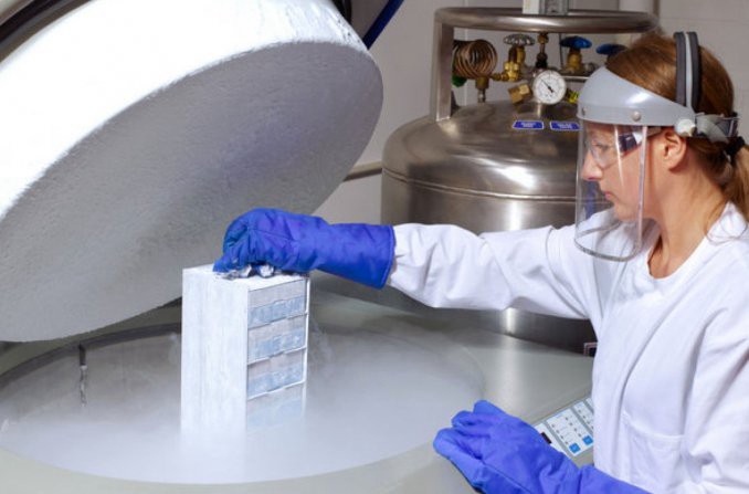 Superó la quimioterapia y fue mamá por un ovario congelado cuando era niña | Actualidad