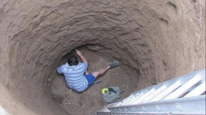 Hallaron fósiles prehistóricos de un perezoso y dos gliptodontes cerca de Mar del Plata | Actualidad