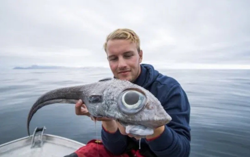 "De aspecto feo, pero sabroso": pescó y fotografíó al pez "dinosaurio" | Curiosidades