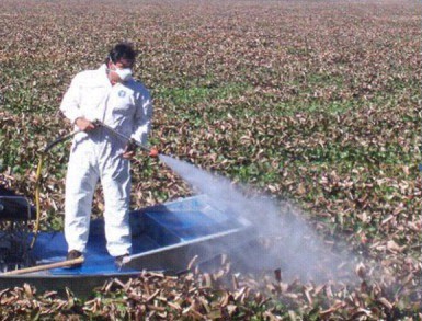 Mar del Plata: la orina del 90 por ciento de las personas sometidas a un estudio contiene glifosato | Actualidad