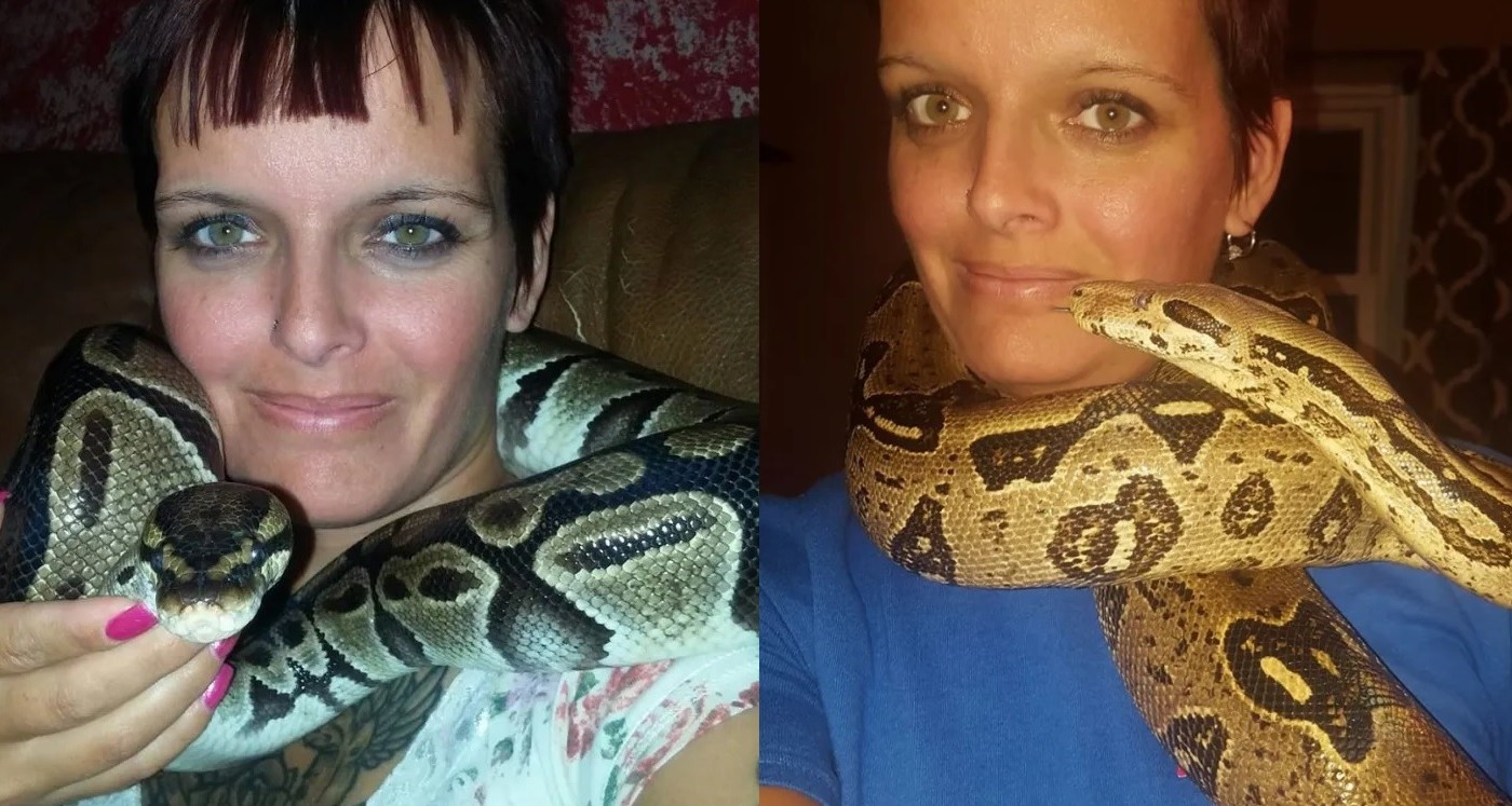 Coleccionaba serpientes y apareció muerta con una pitón enroscada en el cuello | Curiosidades