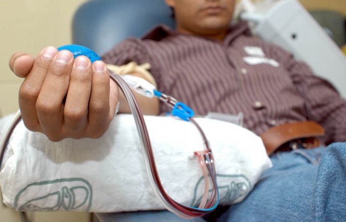 Desde este miércoles, los gays podrán donar sangre | Actualidad