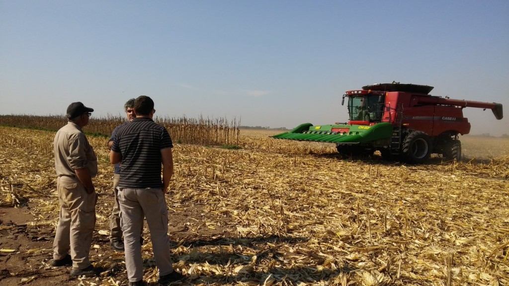 El Gobierno posterga hasta mediados de marzo el pago de compensaciones agropecuarias tras detectar fraudes | Economía