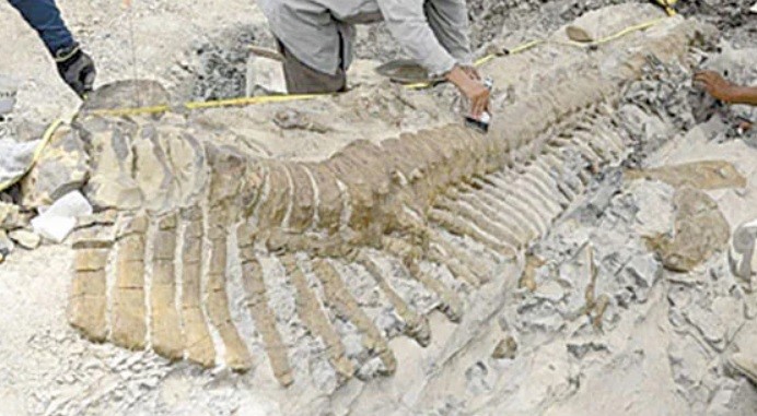 Hallan los restos del lambeosaurio más antiguo de Europa | Internacionales