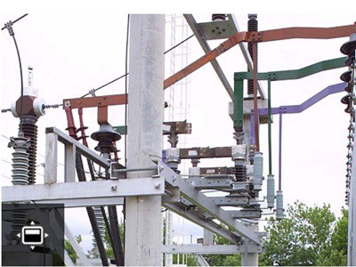 Un gato electrocutado causó un amplio apagón en Santa Fe | Actualidad