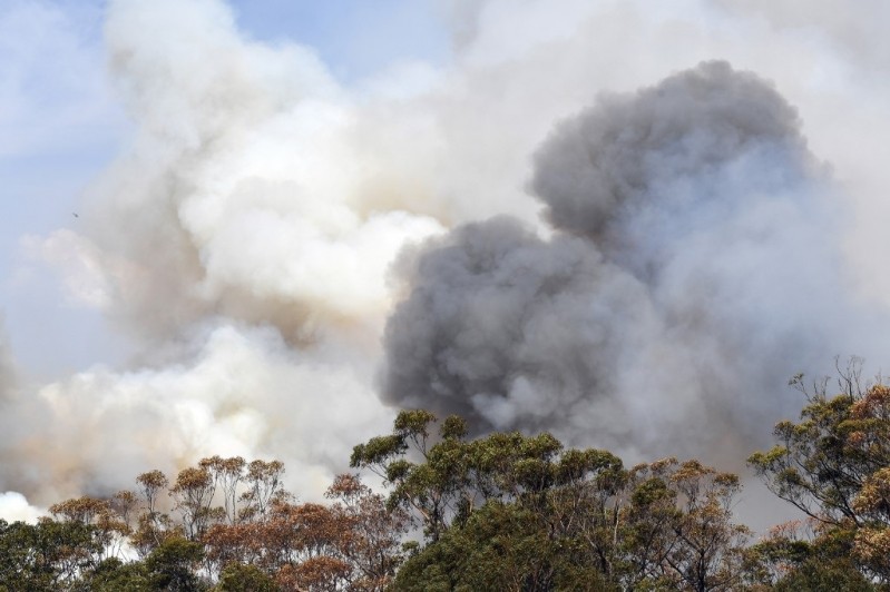 Australia: vientos huracanados generaron otro megaincendio | Internacionales
