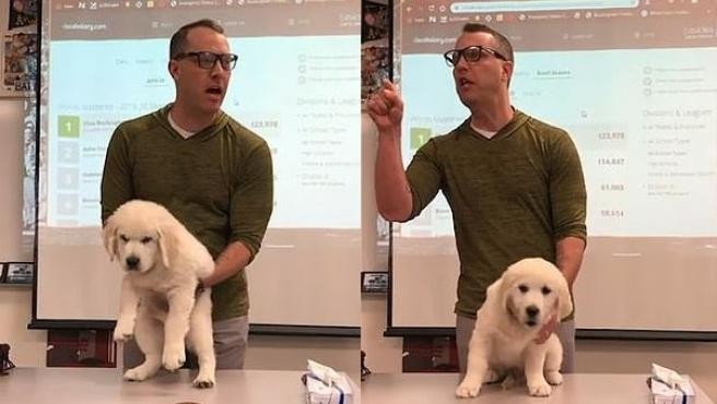 La amenaza de un profesor a sus alumnos: matar a un cachorro si no ganan un concurso | Internacionales