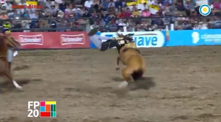 Festival de Jesús María: otro jinete está internado en grave estado tras caer de su caballo | Actualidad