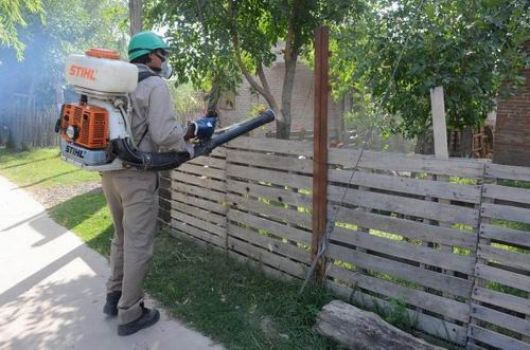 Corrientes: activaron mecanismos de prevención ante primer caso sospechoso de dengue | Actualidad