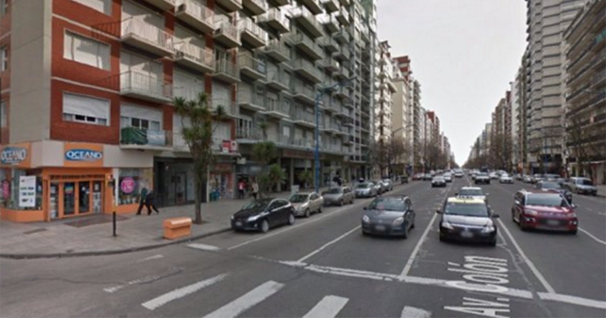 Un perro cayó de un piso 23 sobre una turista | Actualidad