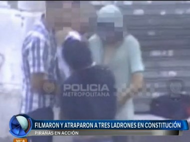 Pirañas en acción | Actualidad