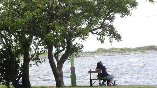 Cierran la costa de Quilmes por una invasión de culebras | Actualidad