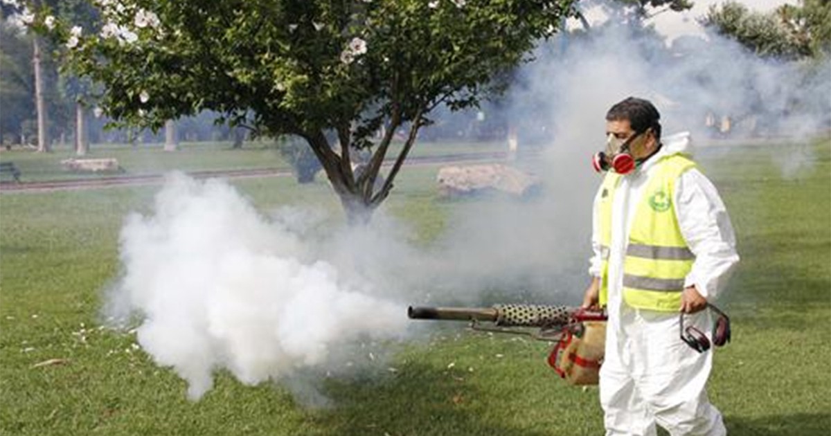 El Ministerio de Salud advirtió que los insecticidas no sirven para combatir al zika | Actualidad