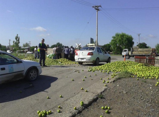 Productores de Río Negro tiran a la calle 100 mil kilos de peras de exportación | Actualidad