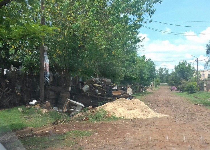 Primera muerte por dengue en el país: un hombre falleció en Misiones | Actualidad