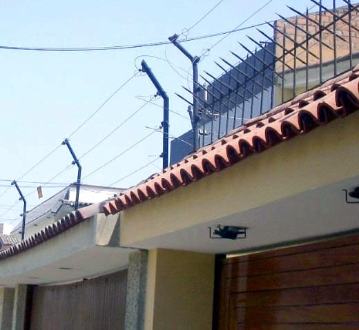 Cómo es el proyecto para regular la instalación de cercos eléctricos en viviendas | Actualidad