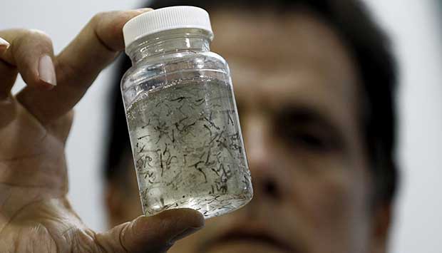 Piden intensificar prevención del dengue durante el fin de semana largo | Actualidad