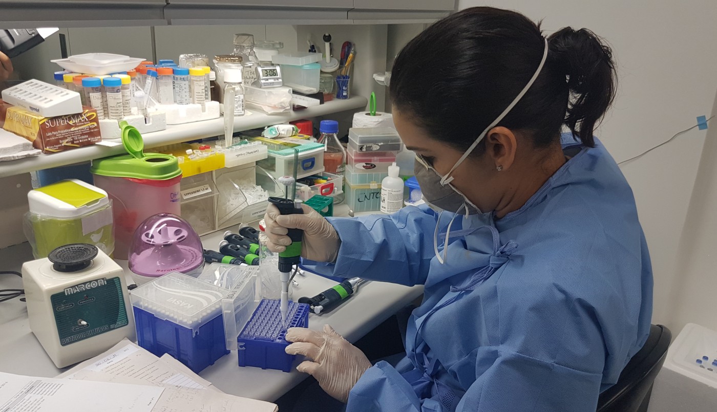 Científicos brasileños identificaron un medicamento capaz de frenar la reproducción del coronavirus | Internacionales