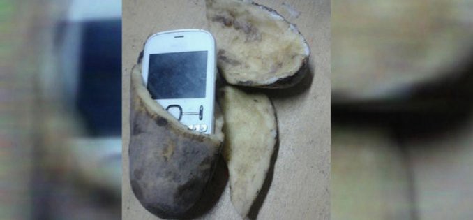 Intentaron entrar un celular en una papa en una cárcel de Santa Fe | Actualidad