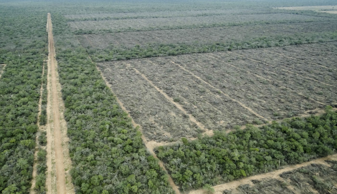 "A pesar de la cuarentena, los desmontes no se detienen”, advierten ambientalistas | Actualidad
